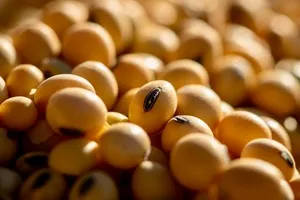 갑상선암에-좋은-음식