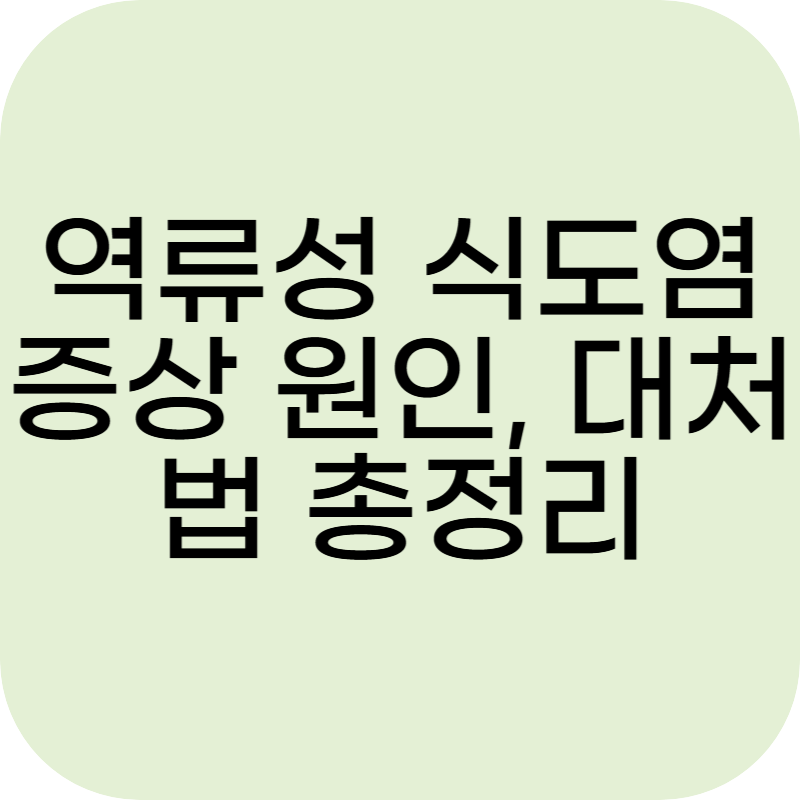 역류성 식도염 증상 원인, 대처법 총정리