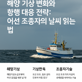구름, 파도, 바람 방향, 장비 사용법 등을 시각적으로 표현
