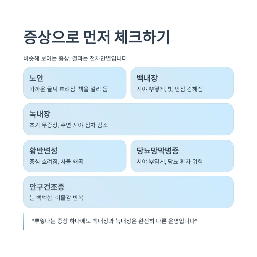 노안·백내장·녹내장 등 시니어 눈 질환 증상 체크 정리