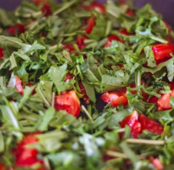 루꼴라 효능 부작용 영양성분 먹는법 고르는법 칼로리