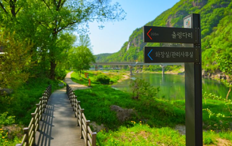 월영산 출렁다리