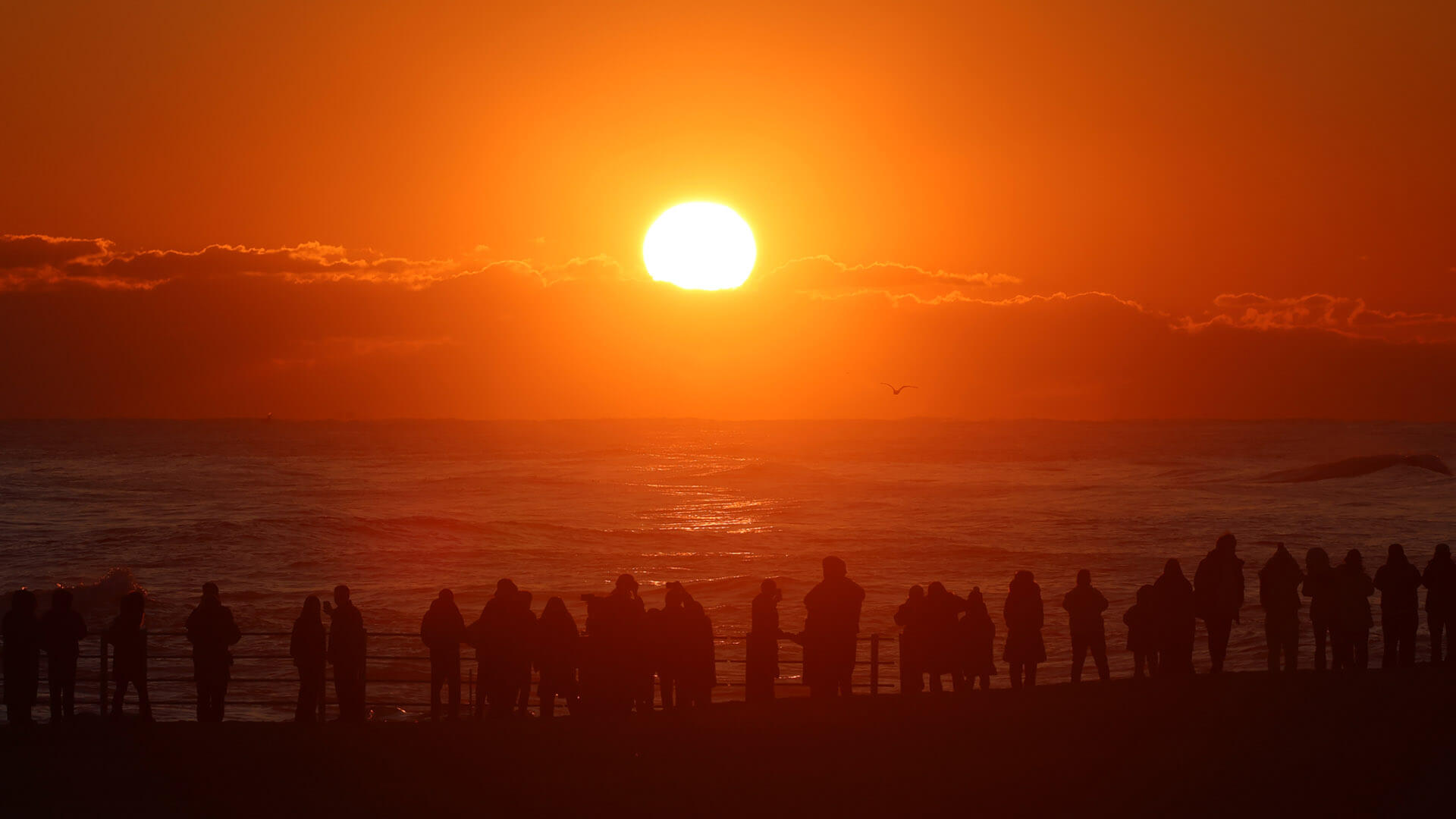새해 일출 해돋이 시간