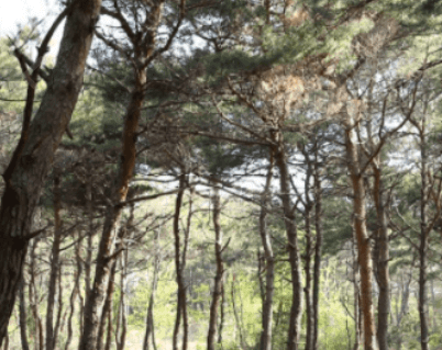 한옥11