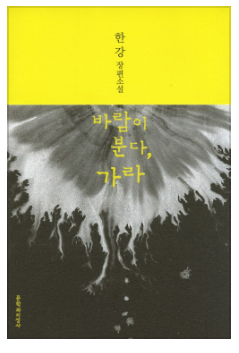 바람이 분다, 가라: 줄거리 (노벨상 수상자 한강 작품)