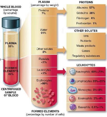 피검사로 알수있는것