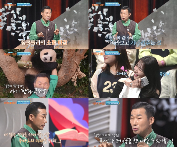 &#39;푸바오 할아버지&#39;로 유명한 강철원 사육사가 30일 밤 첫방송된 tvN STORY &#39;어쩌다 어른&#39;에서 푸바오에 대한 애정과 이별을 앞둔 안타까움을 전하고 있다. [사진=tvN STORY]