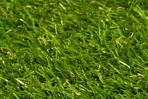 청년 주택드림 디딤돌 대출 조건, 신청 자격부터 금리까지