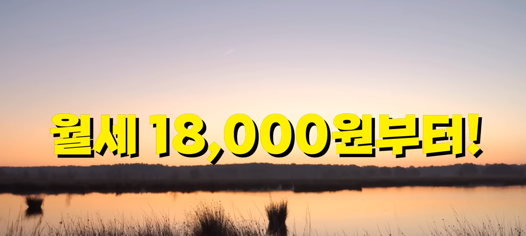 매입 임대주택 정보