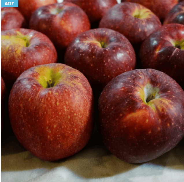 감홍사과 추천 순위 TOP 5(24년 11월) – 네이버, 쿠팡 인기 판매 제품 비교