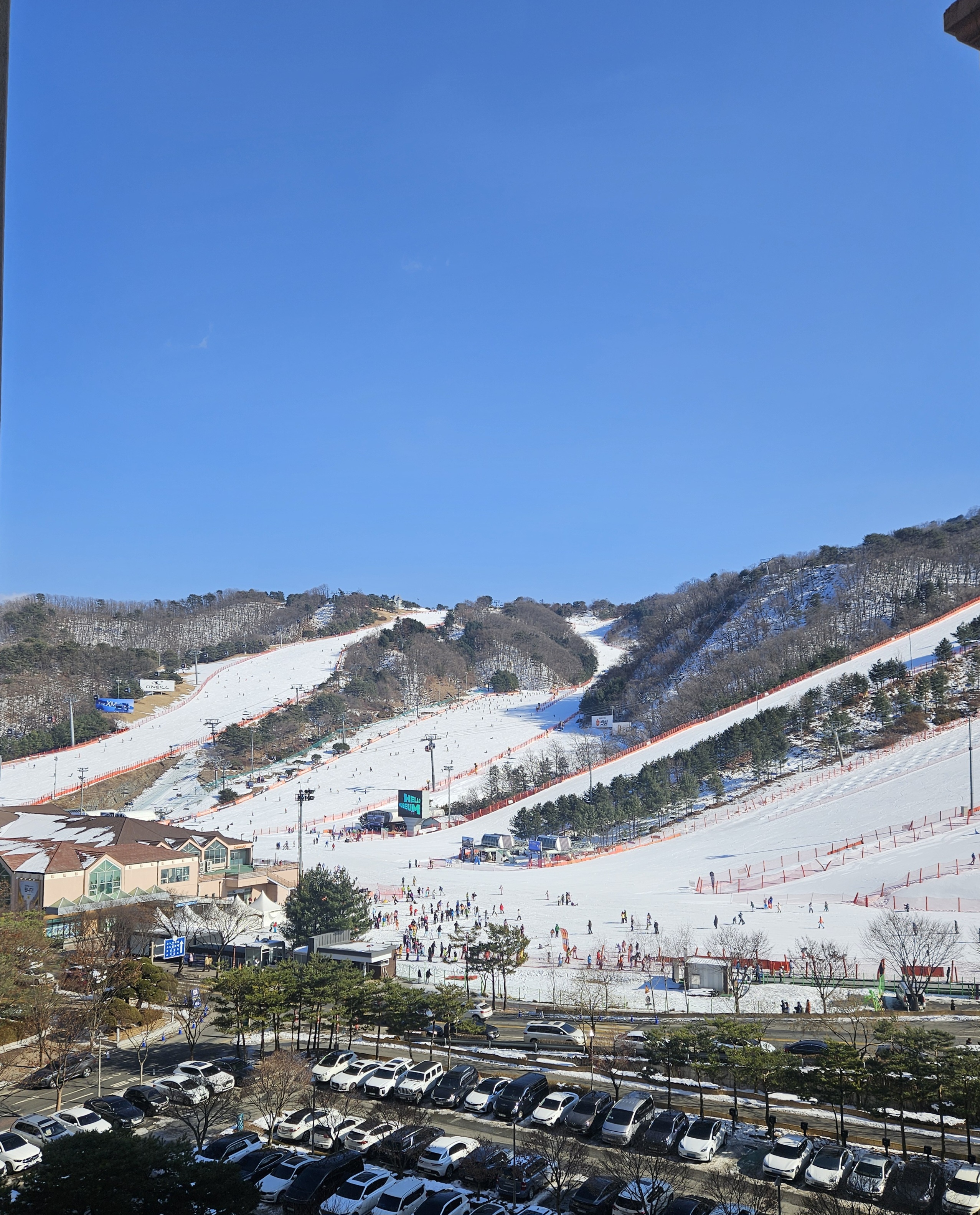 대명비발디파크 숙소에서 바라본 스키장