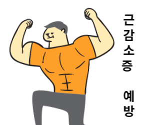 비타민D3 효능 근감소증 예방