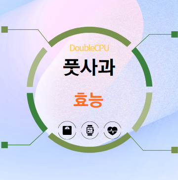 풋사과 효능 탐구