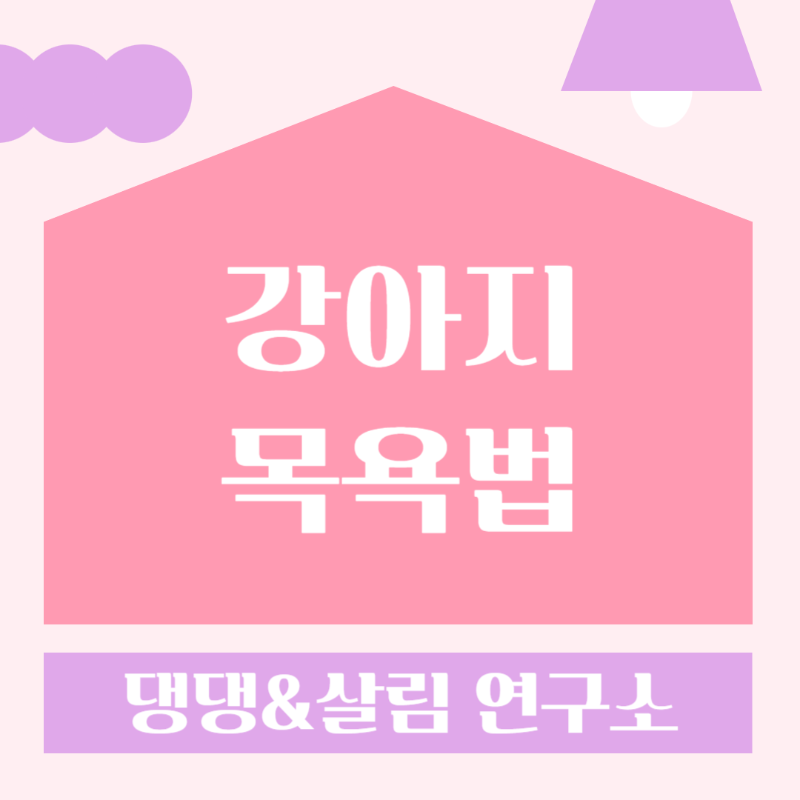 강아지목욕법