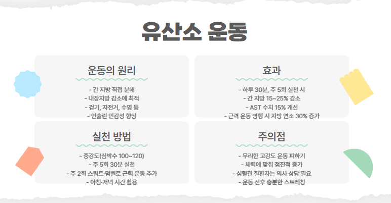 유산소 운동의 원리