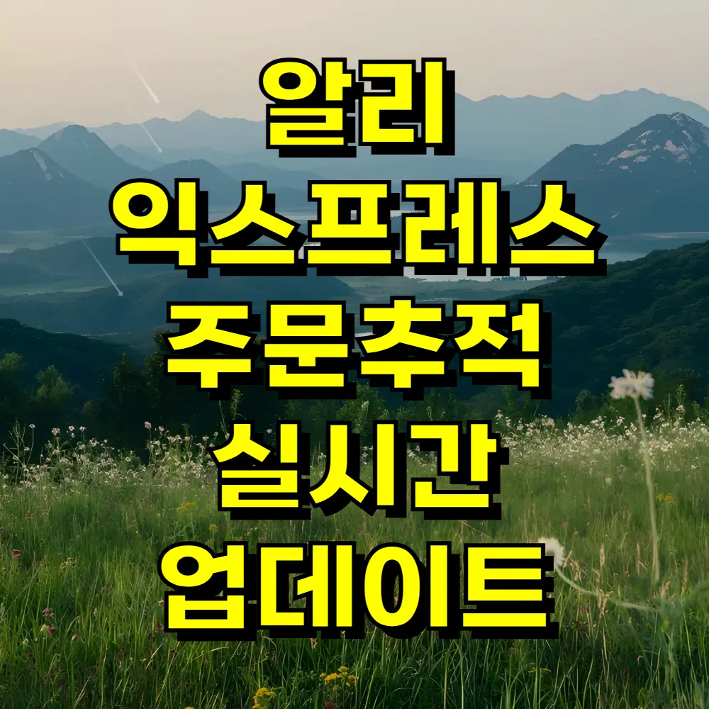 알리 익스프레스 주문추적 실시간 업데이트