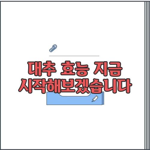 대추 효능 지금 시작해보겠습니다