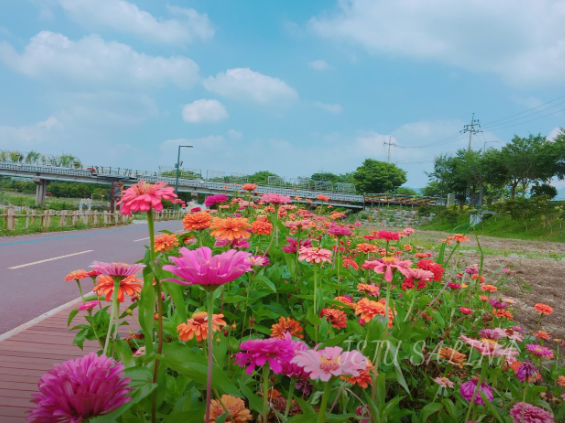 화룡강 생태공원