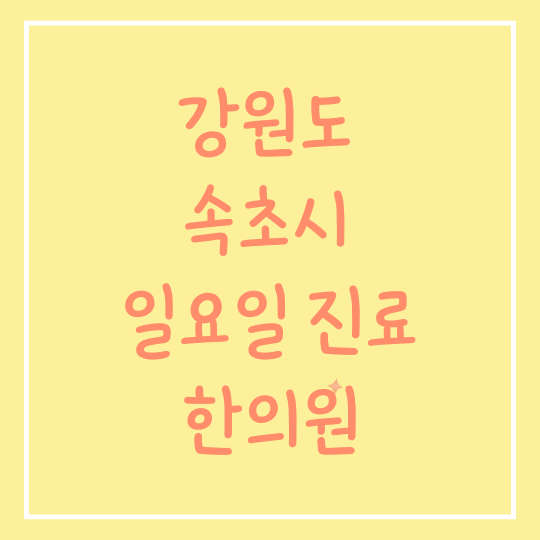 강원도 속초시 일요일 진료 한의원