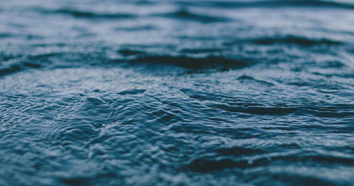 person smiling while tracking expenses on a smartphone with charts on screen