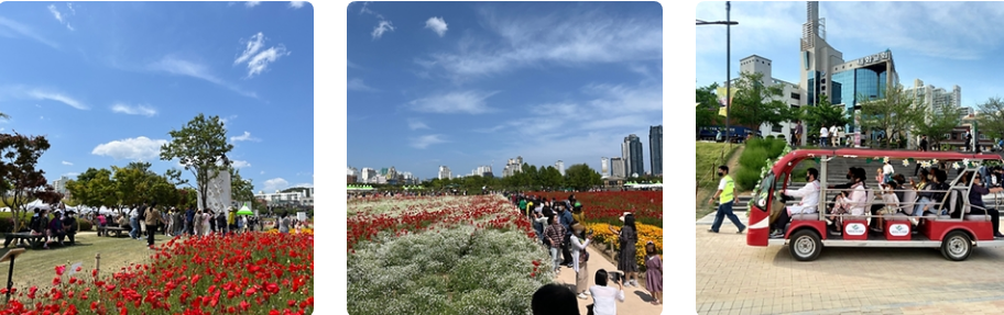 2024 태화강 국가정원 봄꽃 축제 행사 사진