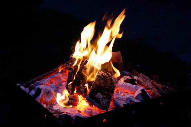 야생에서 불피우는 5가지 방법