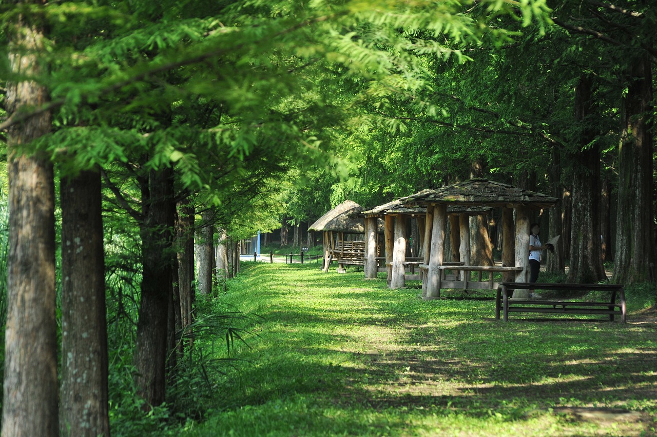 산림복지바우처