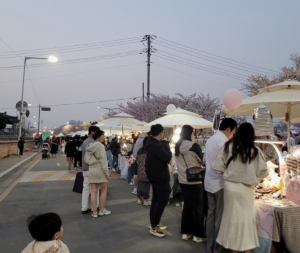 벚꽃축제