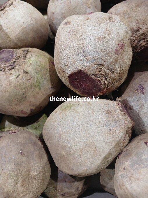 시장에 진열된 비트 뿌리 상태를 보여주는 사진으로 비트 효능 중 항산화 성분의 근거 이미지