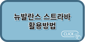 뉴발란스 스트라바 사용방법