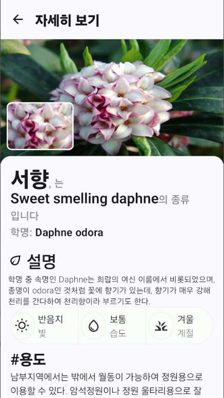 꽃 이름 찾기 어플, 핸드폰으로 꽃을 찍어 AI가 사진으로 꽃 이름 식별