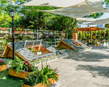 고양 꽃박람회_11