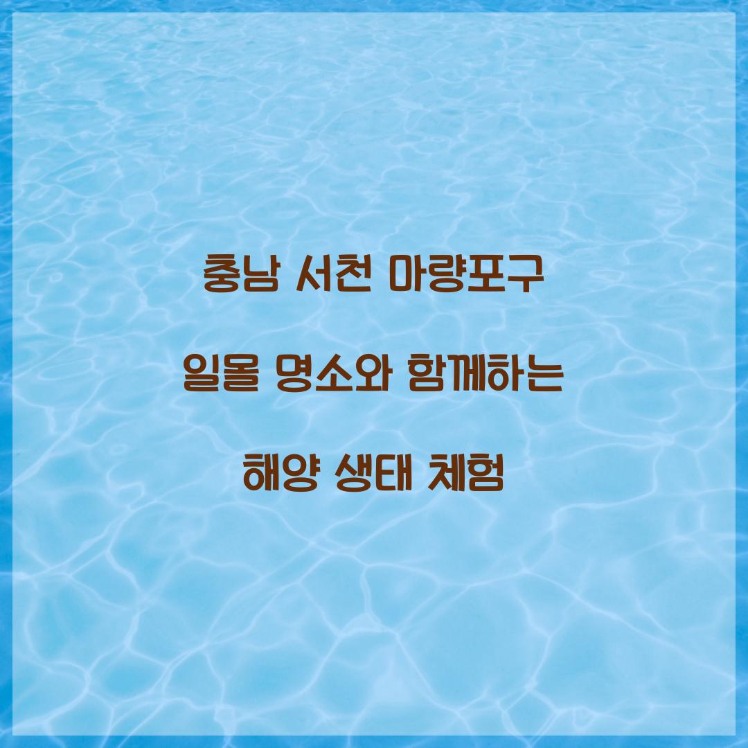 서천 마량포구 일몰 명소