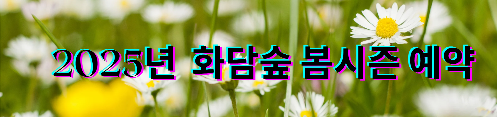 2025년 화담숲 봄시즌 예약