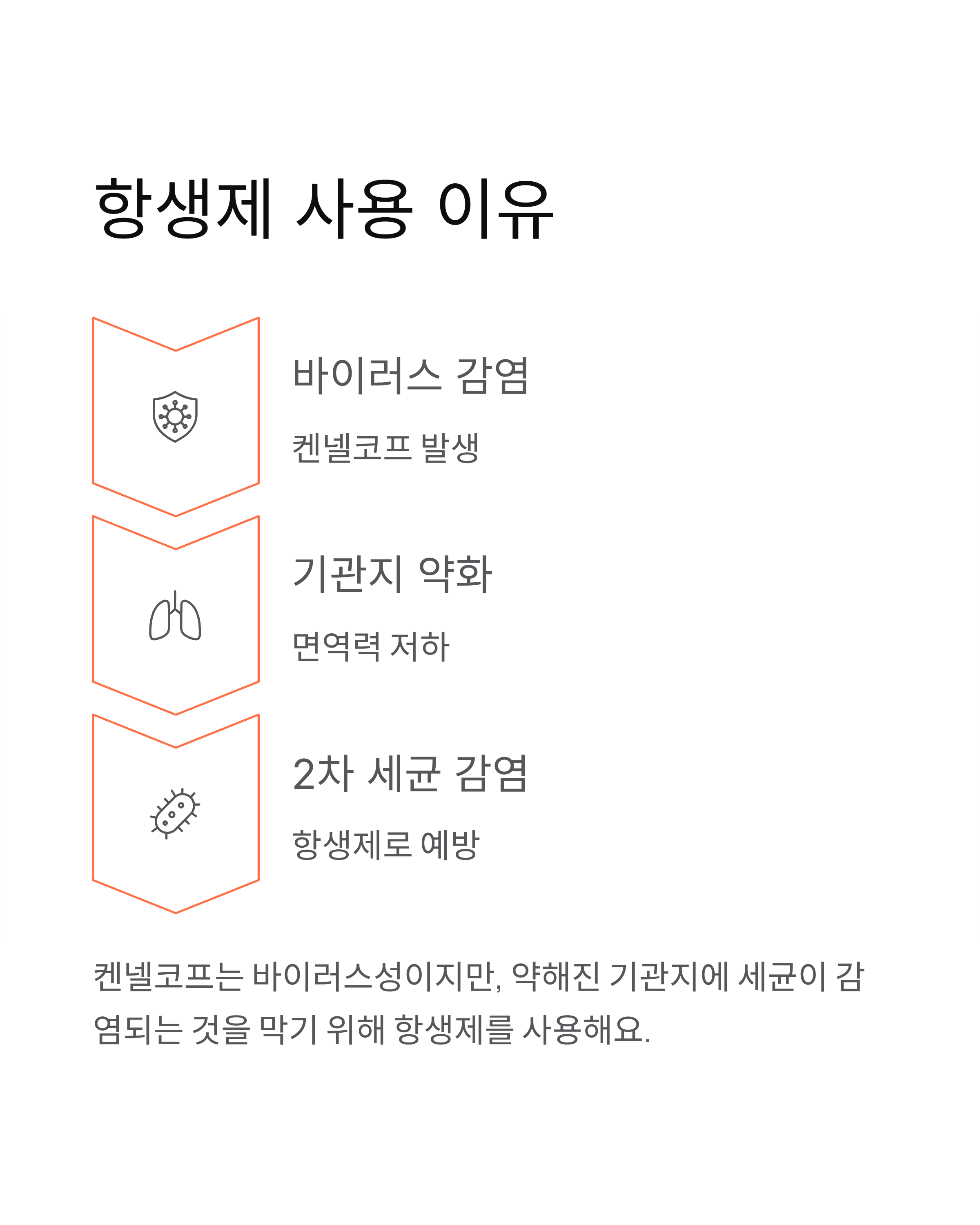 강아지 켄넬코프 증상과 치료 완벽 가이드 ❘ 우리 강아지 지키는 법