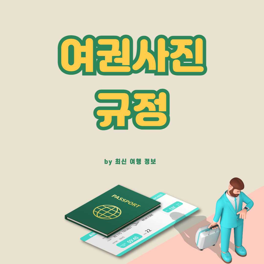 여권사진 규정