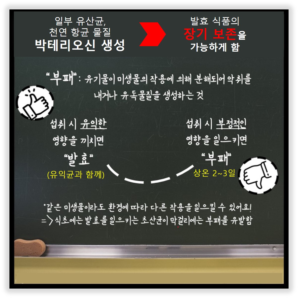 프로바이오틱스