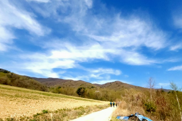 DMZ 펀치볼 둘레길