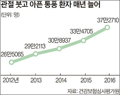 요산수치 낮추는 음식 13