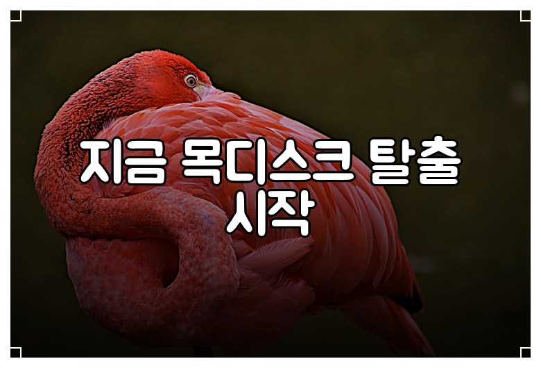 지금 목디스크 탈출 시작