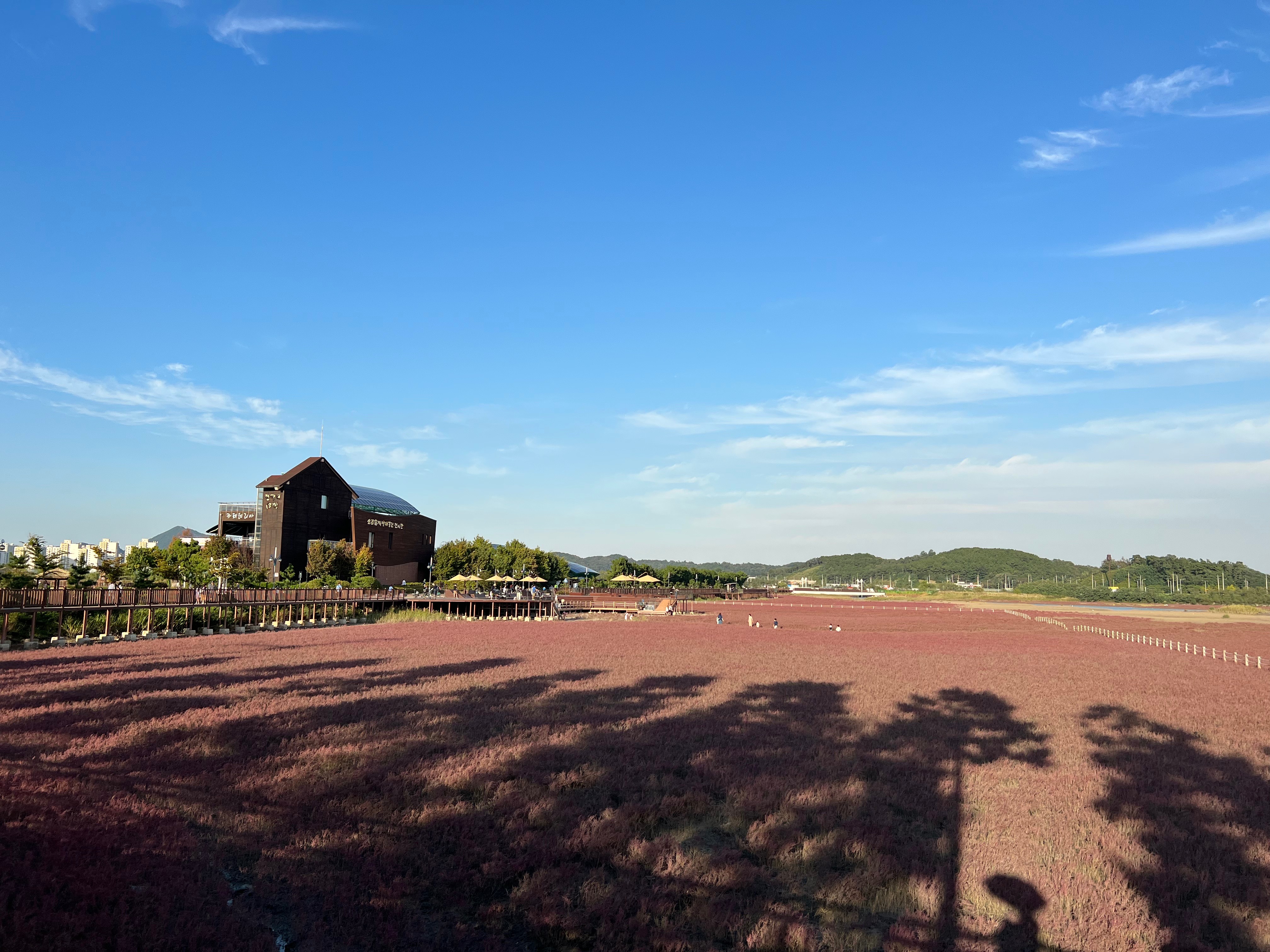 인천 여행지 추천&amp;#44; 인천 갈만한곳 - 소래포구