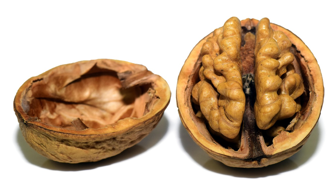 뇌를 회복시키는 저녁 루틴 5단계