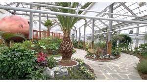 국내겨울여행지 아열대식물원