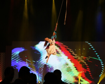 진안홍삼축제_29