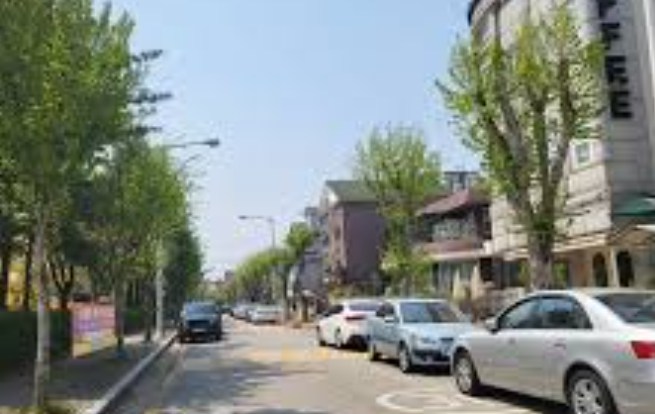 식사동 구제거리 완전 정복