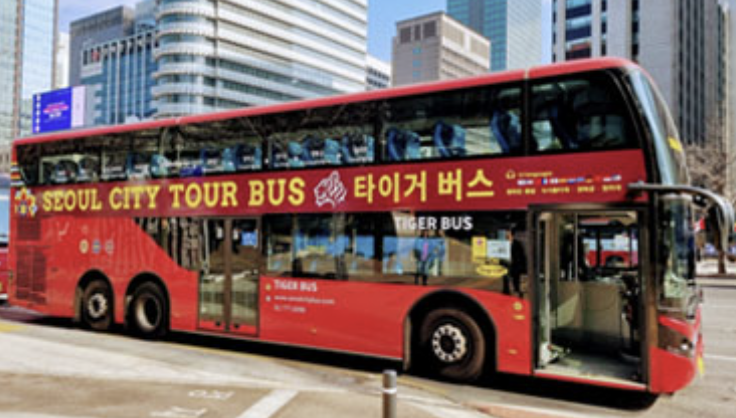 서울 시티투어버스 타이거 예약방법 가격 남산 노선 단풍 야경 꿀팁