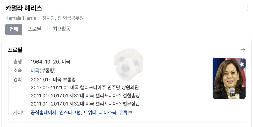 카멀라 해리스 부통령