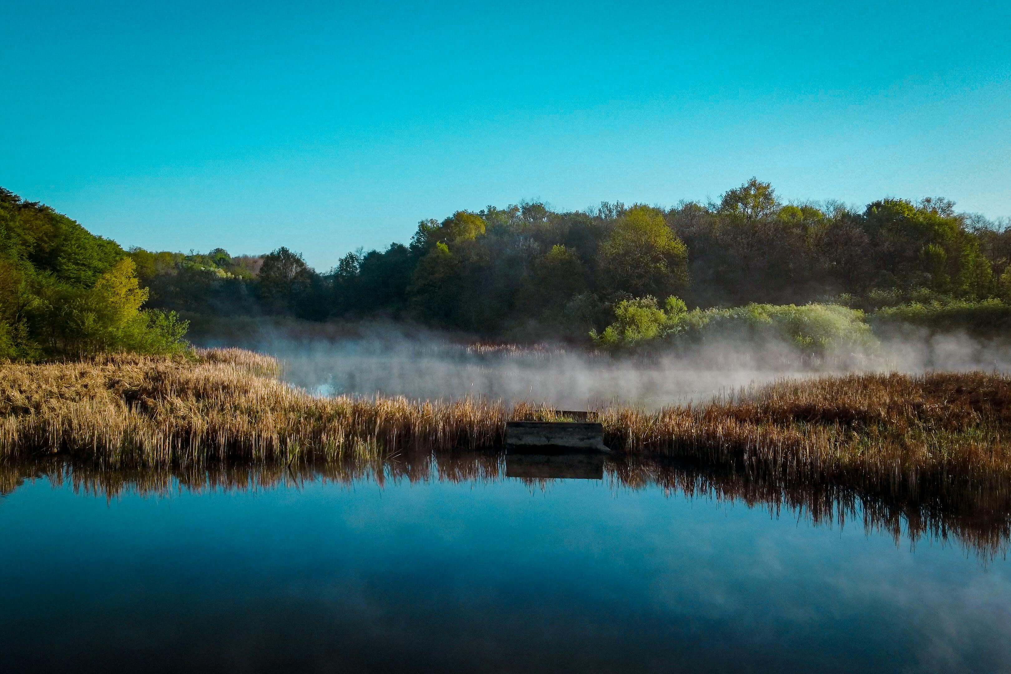 65세 이상 실업급여 4차 신청방법 안내 - 실업급여 4차 신청방법, 신청자격, 준비서류, 신청절차 및 주의사항