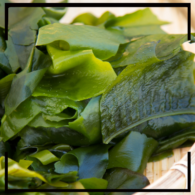 여성 갱년기에 좋은 음식