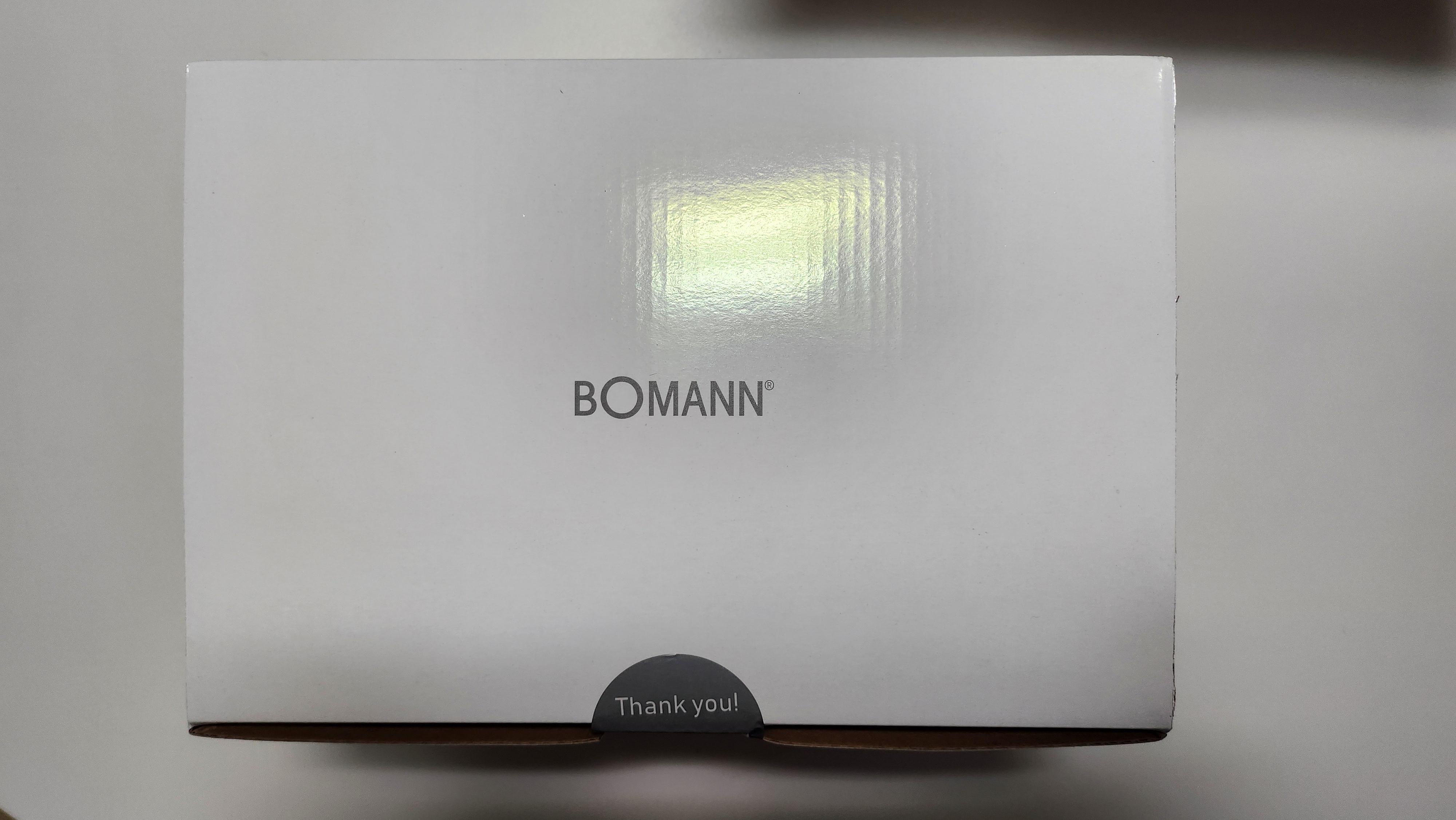 BOMANN 스팀다리미